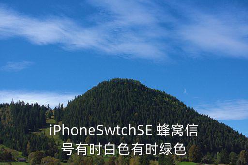 iPhoneSwtchSE 蜂窩信號有時(shí)白色有時(shí)綠色