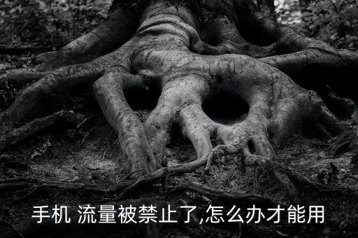 禁用數(shù)據(jù)流量怎么開,如何設(shè)置手機(jī)禁用數(shù)據(jù)流量