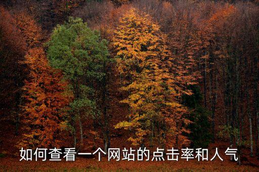 站長之家 監(jiān)控數(shù)據(jù)