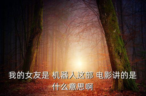 我的女友是 機器人這部 電影講的是什么意思啊