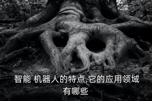 智能機器人軌道原理,酒店智能機器人原理