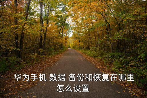 華為數(shù)據(jù)備份