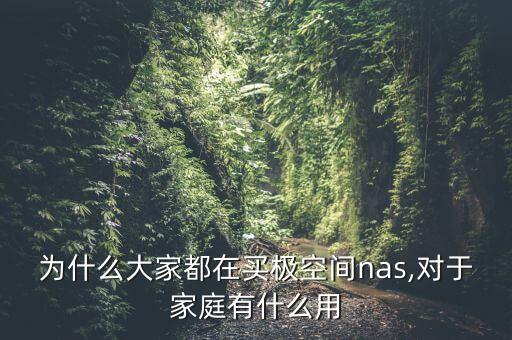 為什么大家都在買極空間nas,對(duì)于家庭有什么用