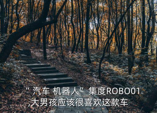 “ 汽車 機器人”集度ROBO01,大男孩應該很喜歡這款車