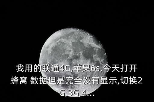 iPhone6s數(shù)據(jù)流量開了沒用