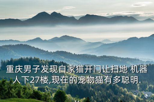鏟屎官機器人,機器人的圖片真實屎