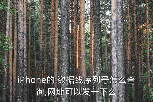 iPhone的 數(shù)據(jù)線序列號怎么查詢,網(wǎng)址可以發(fā)一下么