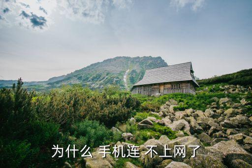 為什么 手機(jī)連 不上網(wǎng)了