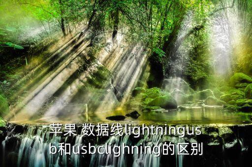 蘋果 數據線lightningusb和usbclighning的區(qū)別