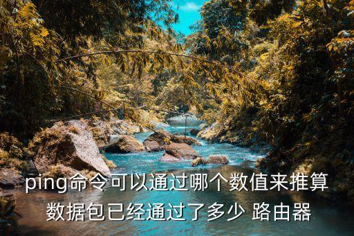 ping命令可以通過哪個數(shù)值來推算 數(shù)據(jù)包已經通過了多少 路由器