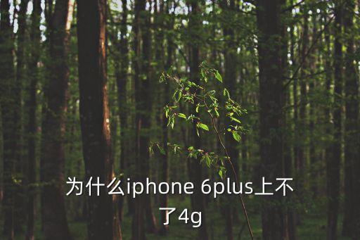 為什么iphone 6plus上不了4g