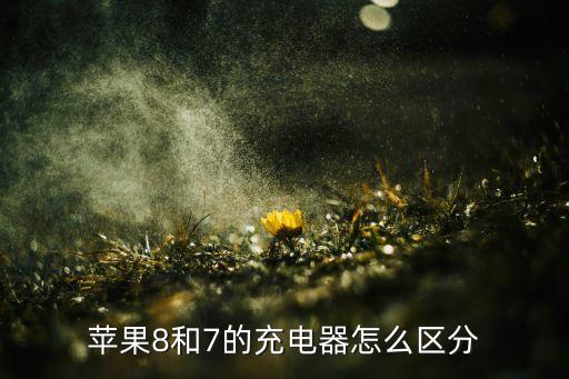 怎么辨別iphone8數(shù)據(jù)線,Iphone8數(shù)據(jù)線可不可以充13