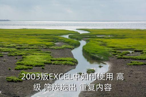 2003版EXCEL中如何使用 高級 篩選選出 重復內容