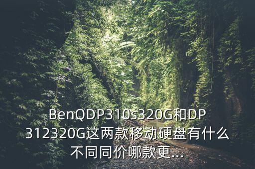BenQDP310s320G和DP312320G這兩款移動(dòng)硬盤有什么不同同價(jià)哪款更...
