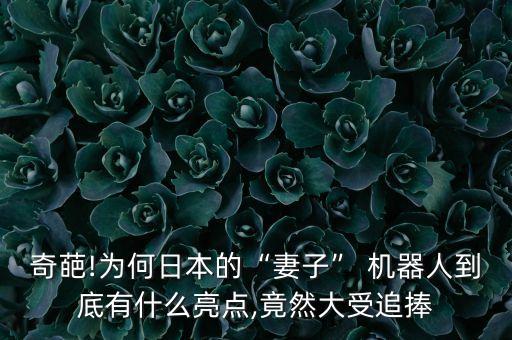 diy安卓機(jī)器人圖片,手機(jī)出現(xiàn)安卓機(jī)器人被修理圖片