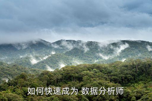 如何快速成為 數(shù)據(jù)分析師