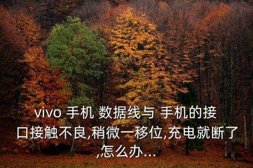 vivo 手機 數(shù)據(jù)線與 手機的接口接觸不良,稍微一移位,充電就斷了,怎么辦...