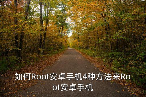 如何Root安卓手機(jī)4種方法來Root安卓手機(jī)