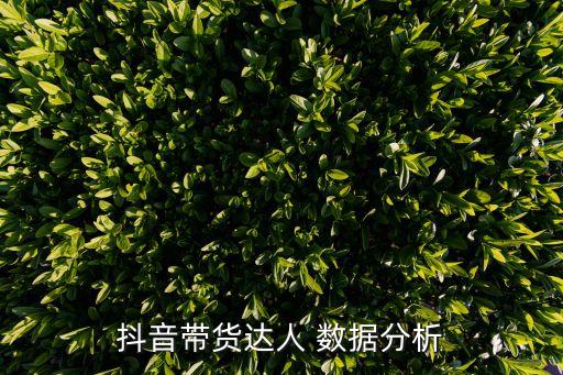 抖音帶貨達(dá)人 數(shù)據(jù)分析