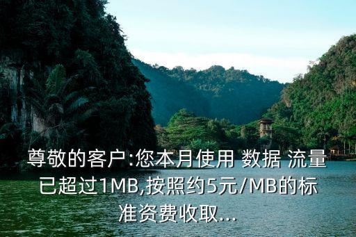 尊敬的客戶:您本月使用 數(shù)據(jù) 流量已超過1MB,按照約5元/MB的標(biāo)準(zhǔn)資費(fèi)收取...
