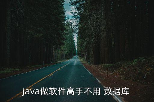 java做軟件高手不用 數(shù)據(jù)庫