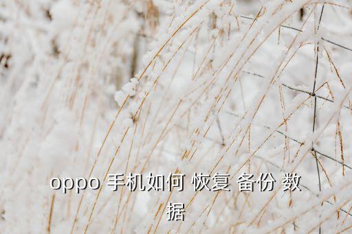 oppo 手機(jī)如何 恢復(fù) 備份 數(shù)據(jù)