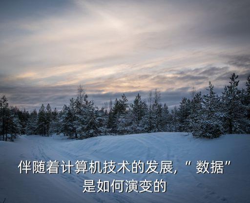 伴隨著計算機(jī)技術(shù)的發(fā)展,“ 數(shù)據(jù)”是如何演變的