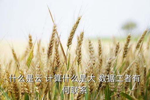 什么是云 計算什么是大 數(shù)據(jù)二者有何聯(lián)系