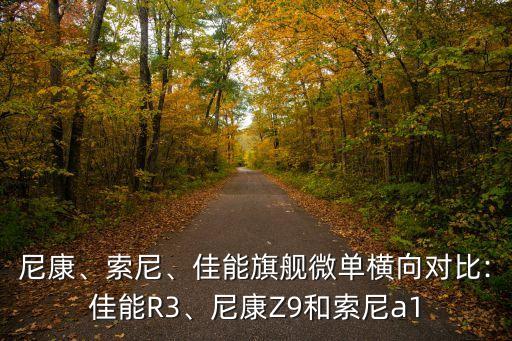 尼康、索尼、佳能旗艦微單橫向對比:佳能R3、尼康Z9和索尼a1