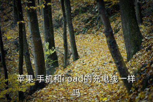 pad數(shù)據(jù)線和手機(jī)數(shù)據(jù)線,蘋果平板數(shù)據(jù)線和手機(jī)數(shù)據(jù)線一樣嗎