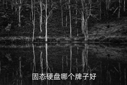  固態(tài)硬盤哪個(gè)牌子好