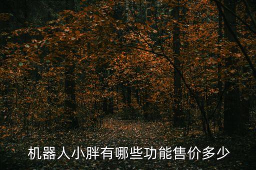  機(jī)器人小胖有哪些功能售價(jià)多少