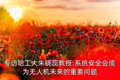 專訪哈工大朱曉蕊教授:系統(tǒng)安全會成為無人機未來的重要問題