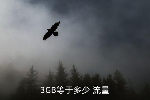 3GB等于多少 流量