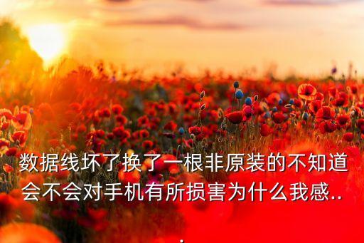 數(shù)據(jù)線假一賠三