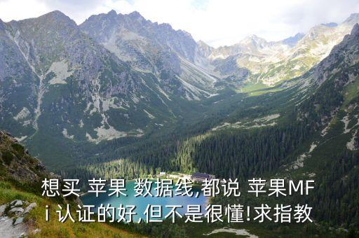 想買 蘋果 數(shù)據(jù)線,都說 蘋果MFi 認證的好,但不是很懂!求指教