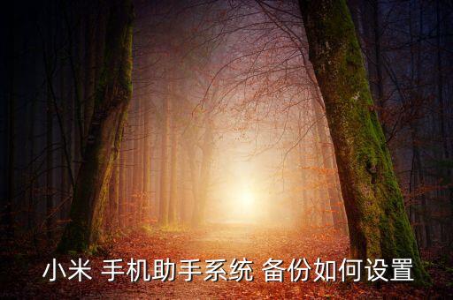  小米 手機(jī)助手系統(tǒng) 備份如何設(shè)置
