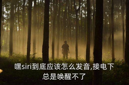 嘿siri到底應(yīng)該怎么發(fā)音,接電下總是喚醒不了
