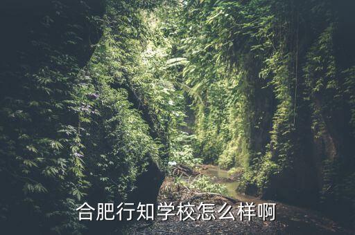 合肥行知學(xué)校怎么樣啊