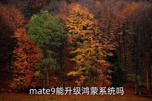 華為mate9自帶機(jī)器人