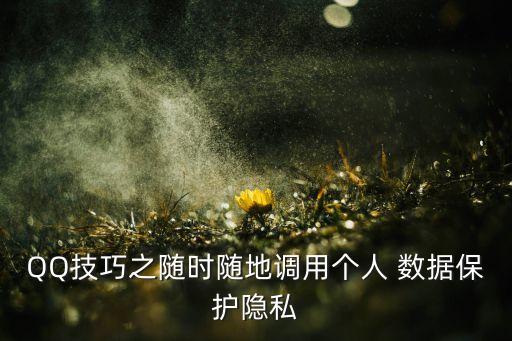 QQ技巧之隨時隨地調(diào)用個人 數(shù)據(jù)保護(hù)隱私