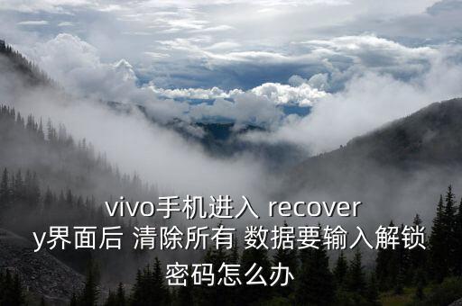  vivo手機(jī)進(jìn)入 recovery界面后 清除所有 數(shù)據(jù)要輸入解鎖密碼怎么辦