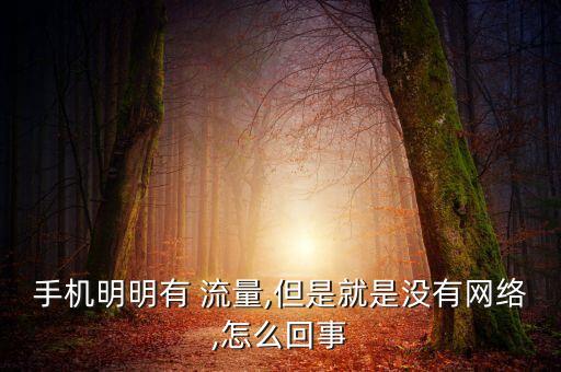 手機(jī)明明有 流量,但是就是沒有網(wǎng)絡(luò),怎么回事