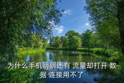 為什么手機(jī)明明還有 流量卻打開 數(shù)據(jù) 連接用不了