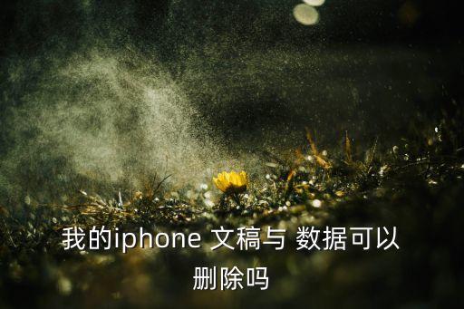 我的iphone 文稿與 數(shù)據(jù)可以刪除嗎