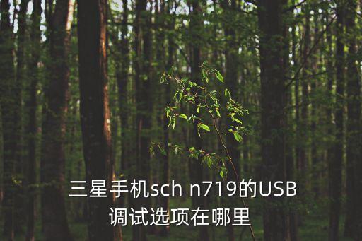 三星n719數(shù)據(jù)線,三星數(shù)據(jù)線是什么接口