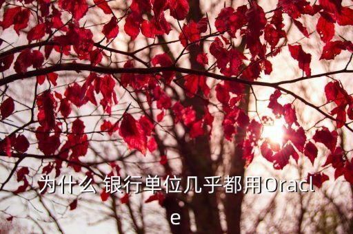 為什么 銀行單位幾乎都用Oracle
