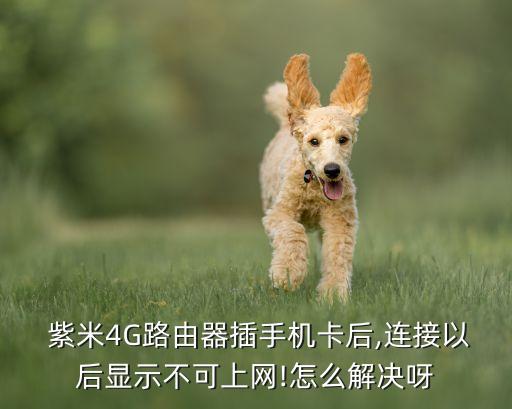  紫米4G路由器插手機(jī)卡后,連接以后顯示不可上網(wǎng)!怎么解決呀