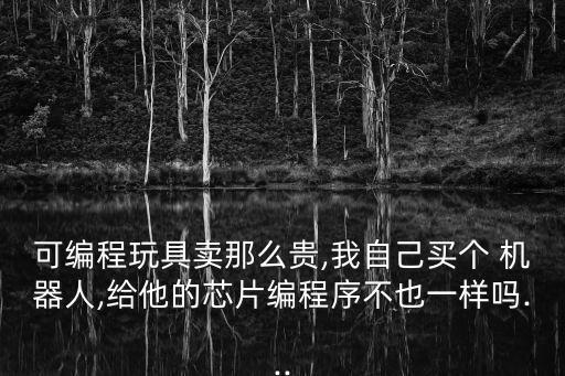 可編程玩具賣(mài)那么貴,我自己買(mǎi)個(gè) 機(jī)器人,給他的芯片編程序不也一樣嗎...
