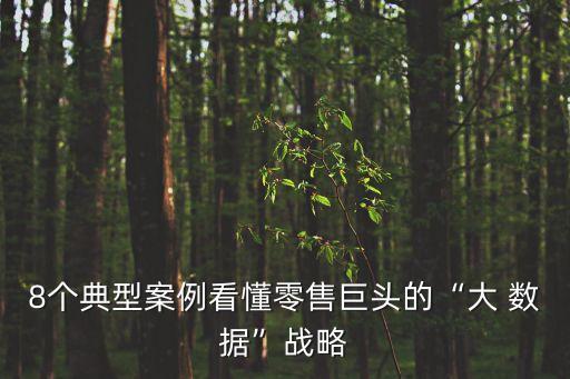8個(gè)典型案例看懂零售巨頭的“大 數(shù)據(jù)”戰(zhàn)略